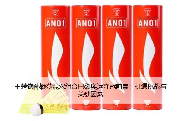 王楚钦孙颖莎混双组合巴黎奥运夺冠前景：机遇挑战与关键因素